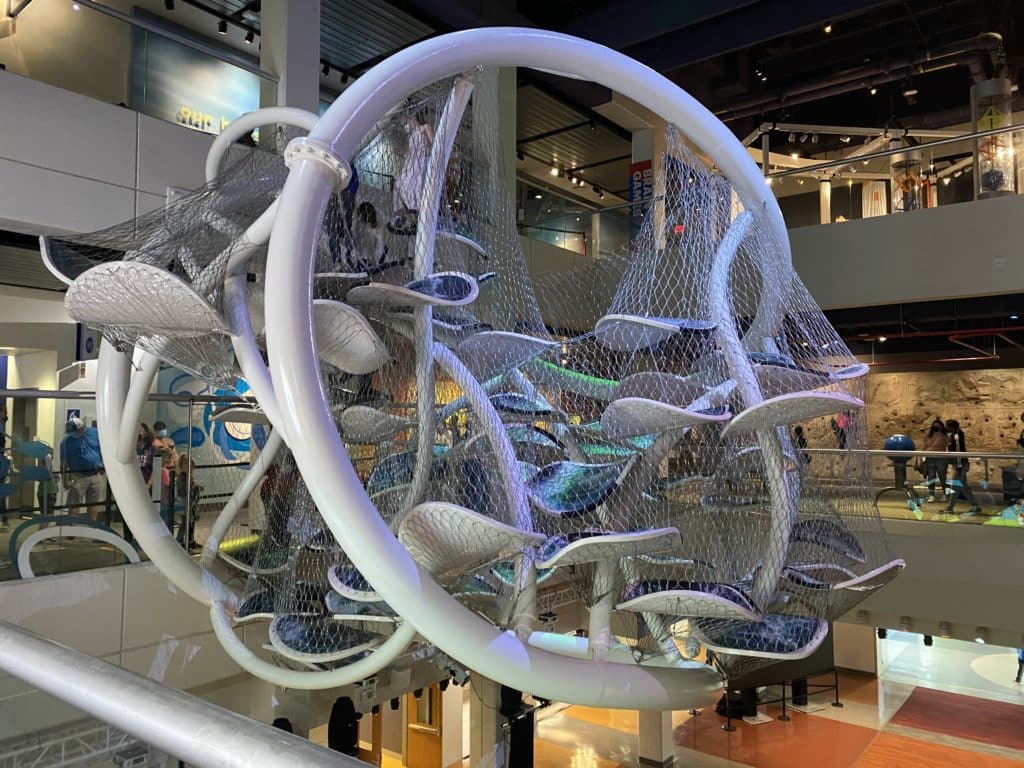 Liberty Science Center Infinity Climber