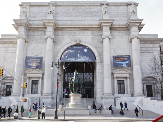 American Museum of Natural History NY MOM