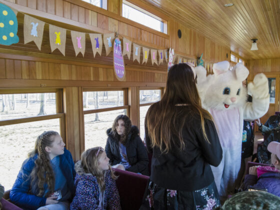 Easter Bunny train ny mom