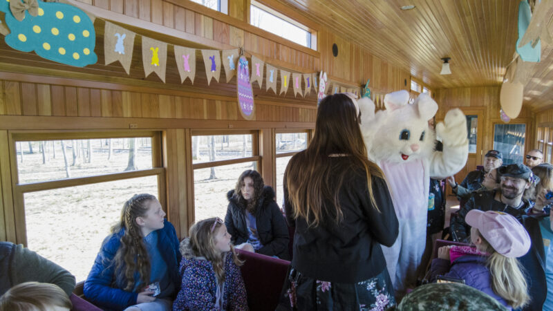 Easter Bunny train ny mom
